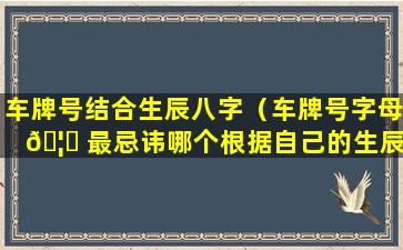 车牌号结合生辰八字（车牌号字母 🦁 最忌讳哪个根据自己的生辰八字判断）